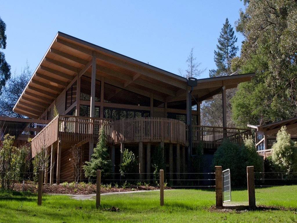 undefined featured image